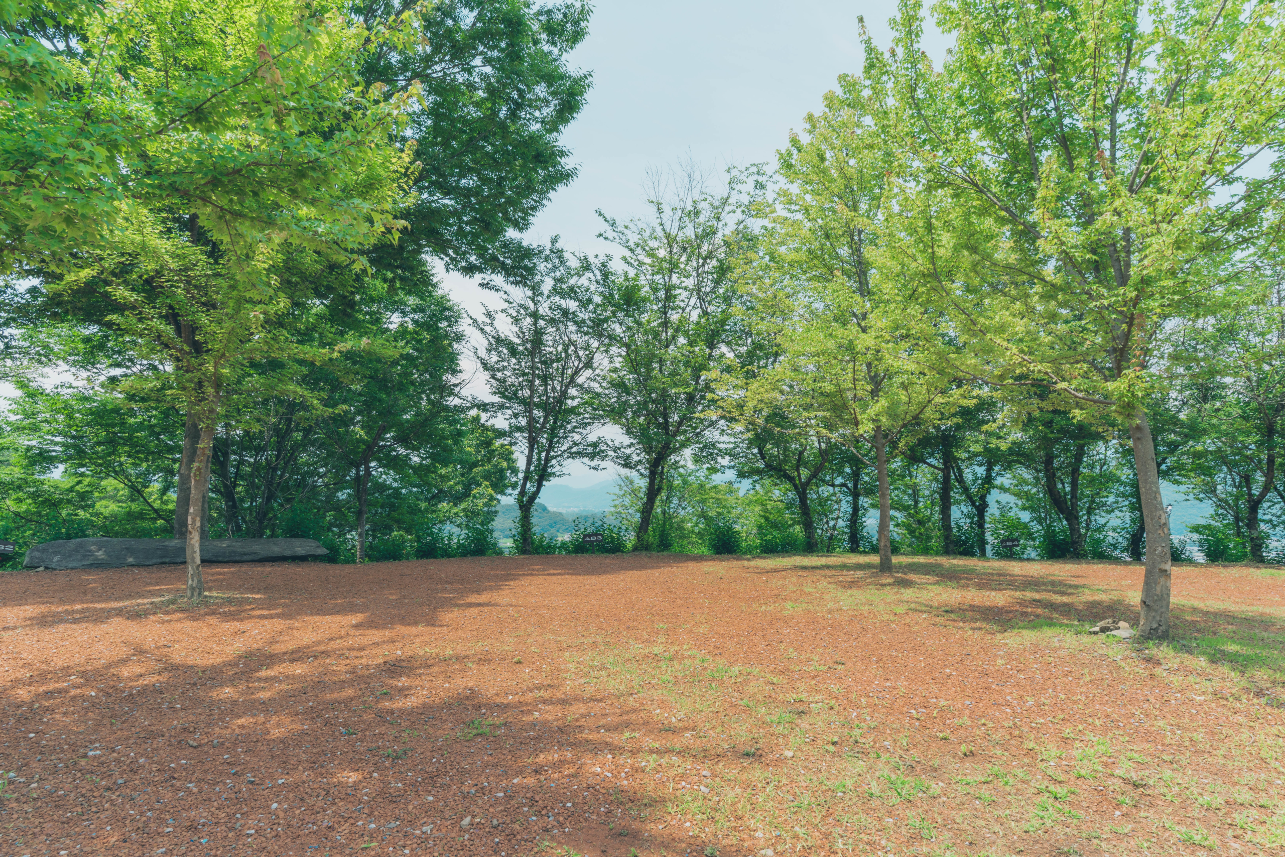 美術館エリア（区画サイト利用について）