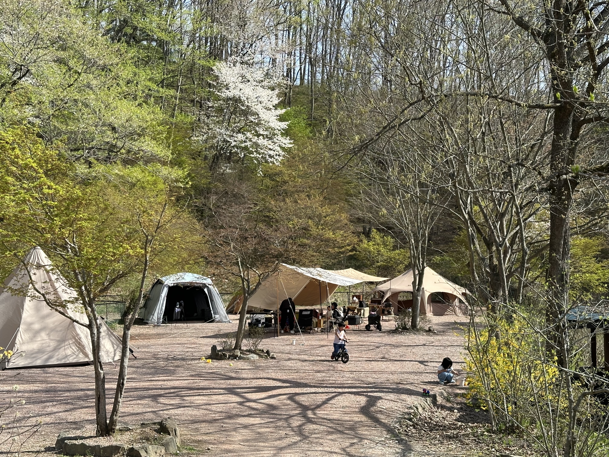 古墳エリア貸切